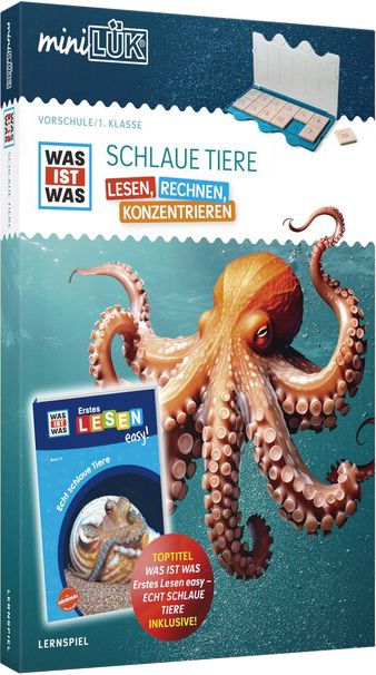 Tier, Leben, im, Meer, Wirbellose, Oktopus