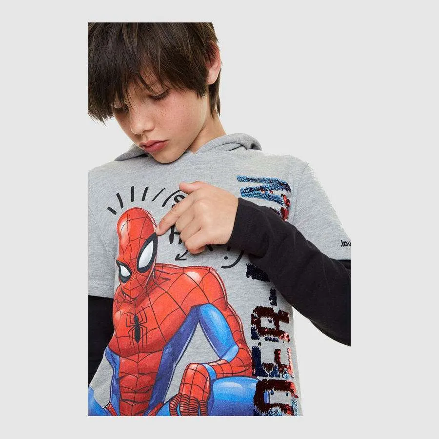 Desigual Jungen Pullover „Moore“ - Grau 20SBSK05