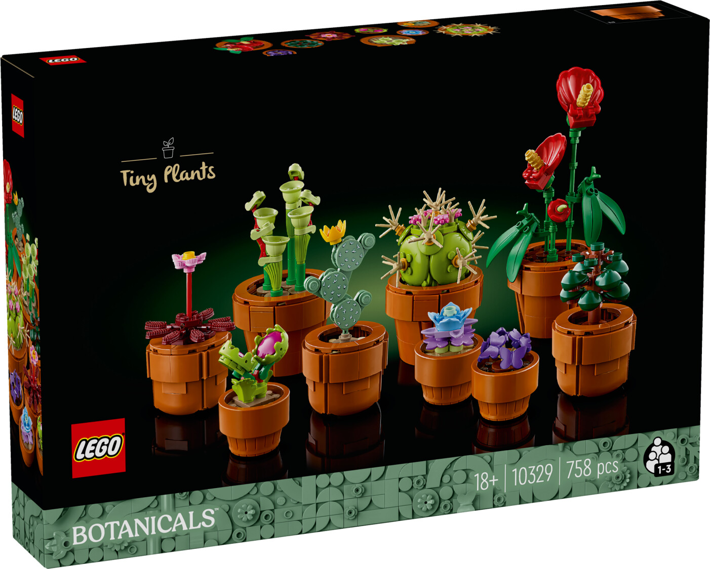Pflanze, Pflanze im Topf, Blume, Blumen-Arrangement, Topf