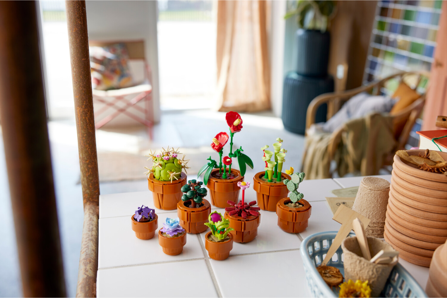 Pflanze, Fenster, Fensterbank, Blumen-Arrangement, Topf