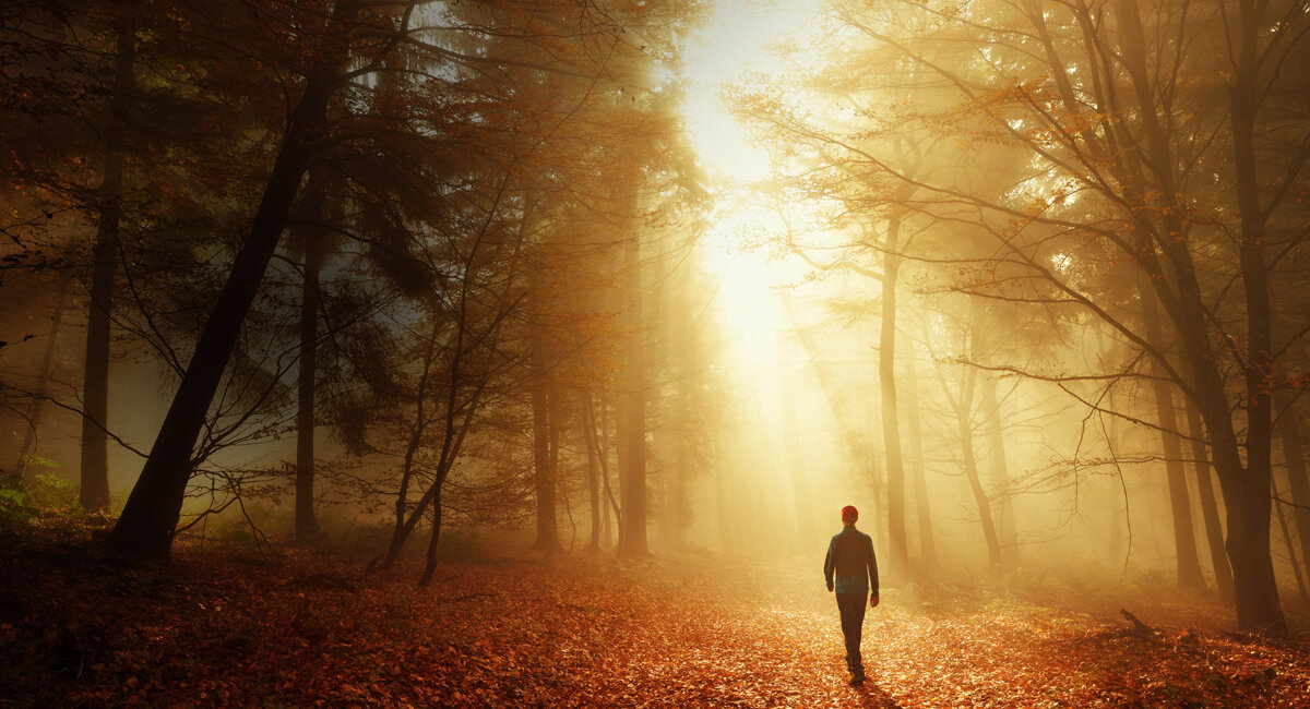 Sonnenlicht, Person, Gehen, Natur, Wetter
