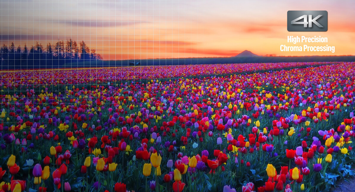 Draußen, Szenerie, Landschaft, Feld, Blume