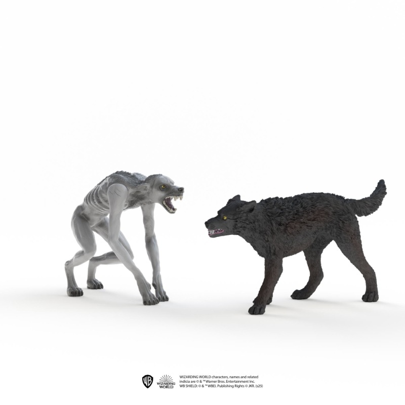 Tier, Hund, Säugetier, Haustier, Wolf, Tier, Hund, Säugetier, Haustier, Wolf, Tier, Hund, Säugetier, Haustier, Wolf, Tier, Hund, Säugetier, Haustier, Wolf