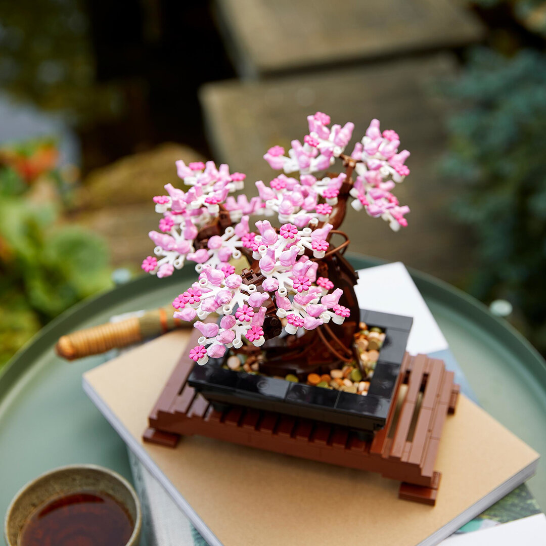 Topfpflanze, Tasse, Blume, Blumen-Arrangement, Präsentation des Essens