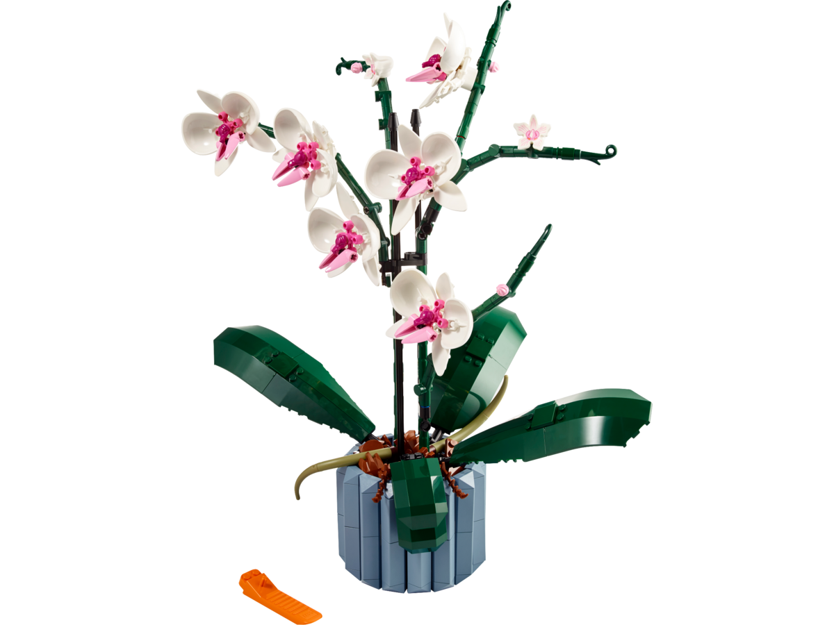 LEGO® icons Orchidee 10311 Blume, Blumen-Arrangement, Pflanze, Ikebana, Orchidee