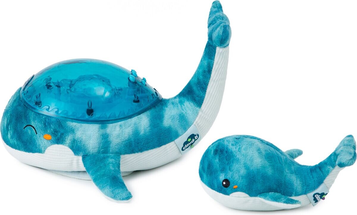 Tranquil, WhaleFamily, Blau, Plüsch, Spielzeug, Türkis, Schwimmen, Wassersport