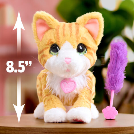 Plüsch, Spielzeug, Teddybär
